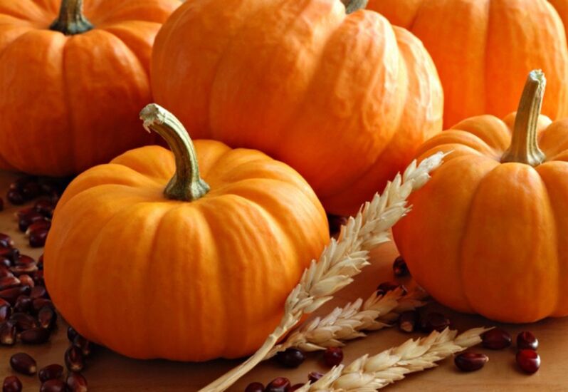Zucca